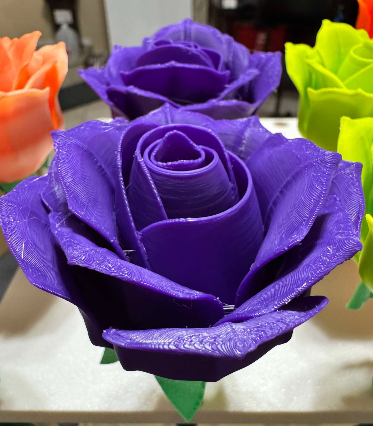 Roses - Full Size