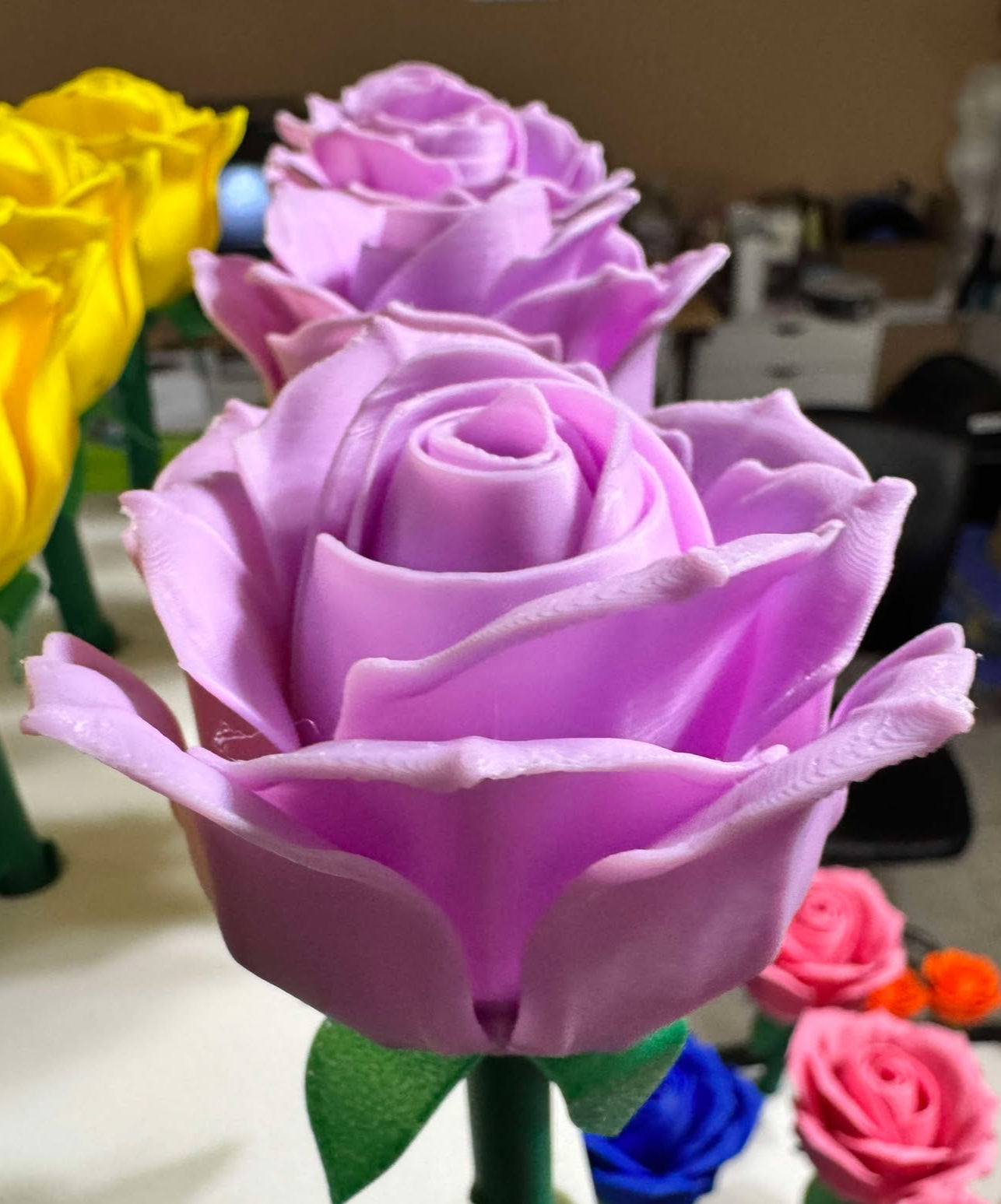 Roses - Full Size