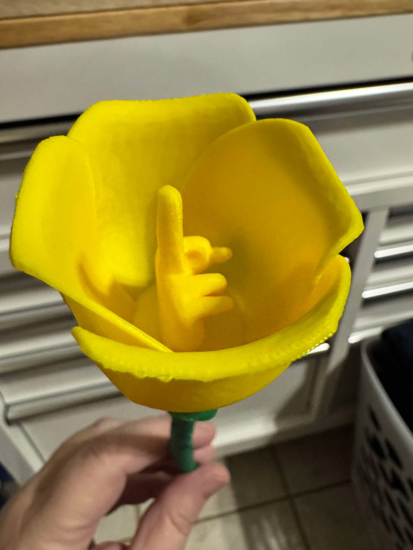 Middle Finger Roses