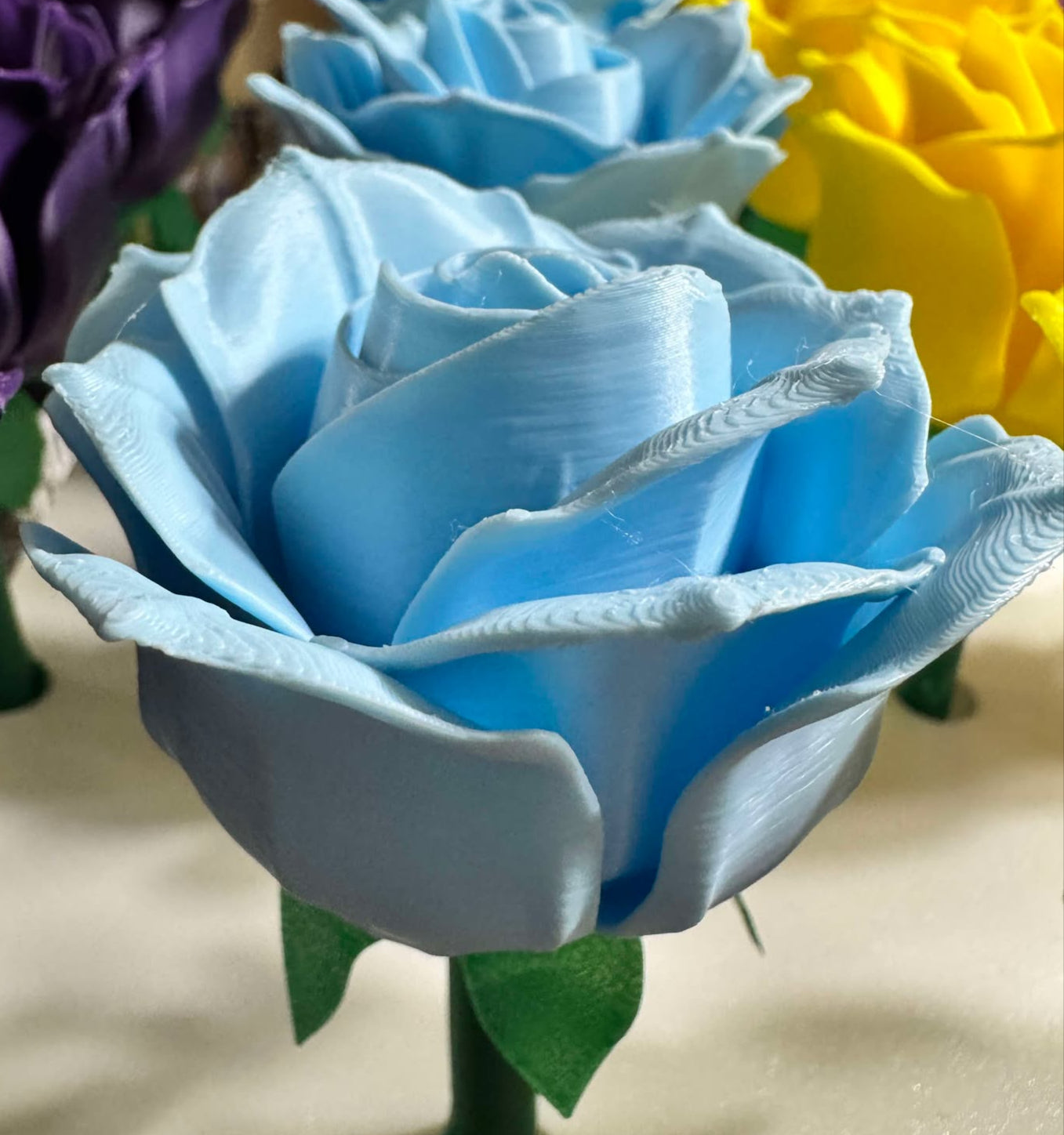 Roses - Full Size