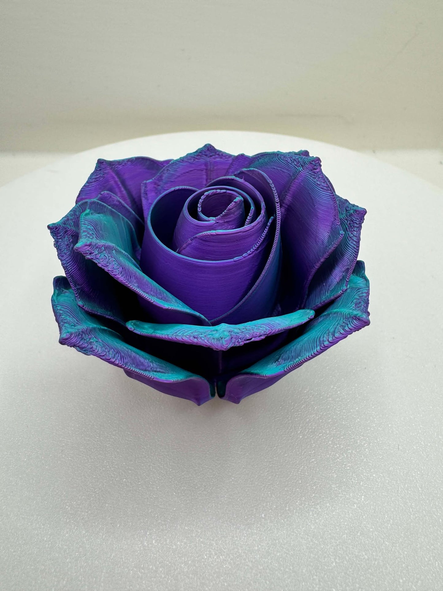 Roses - Full Size