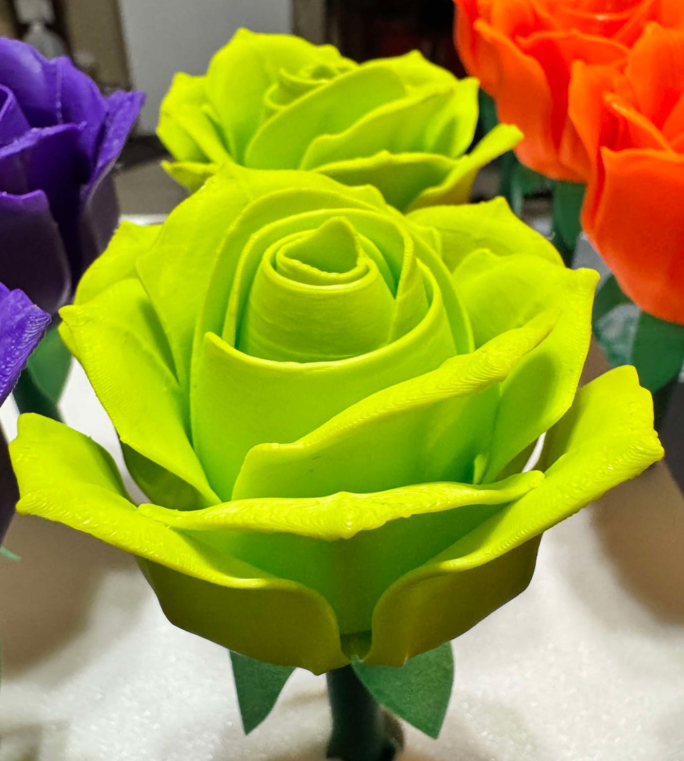 Roses - Full Size