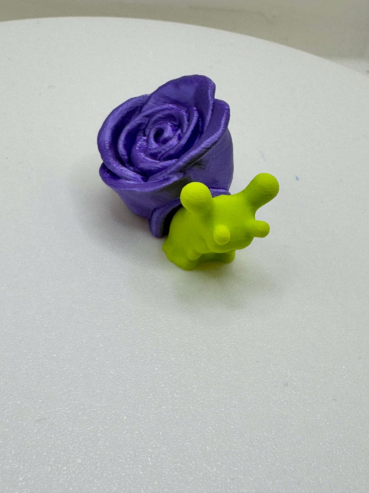 Rose Snail Mini Pocket Pal