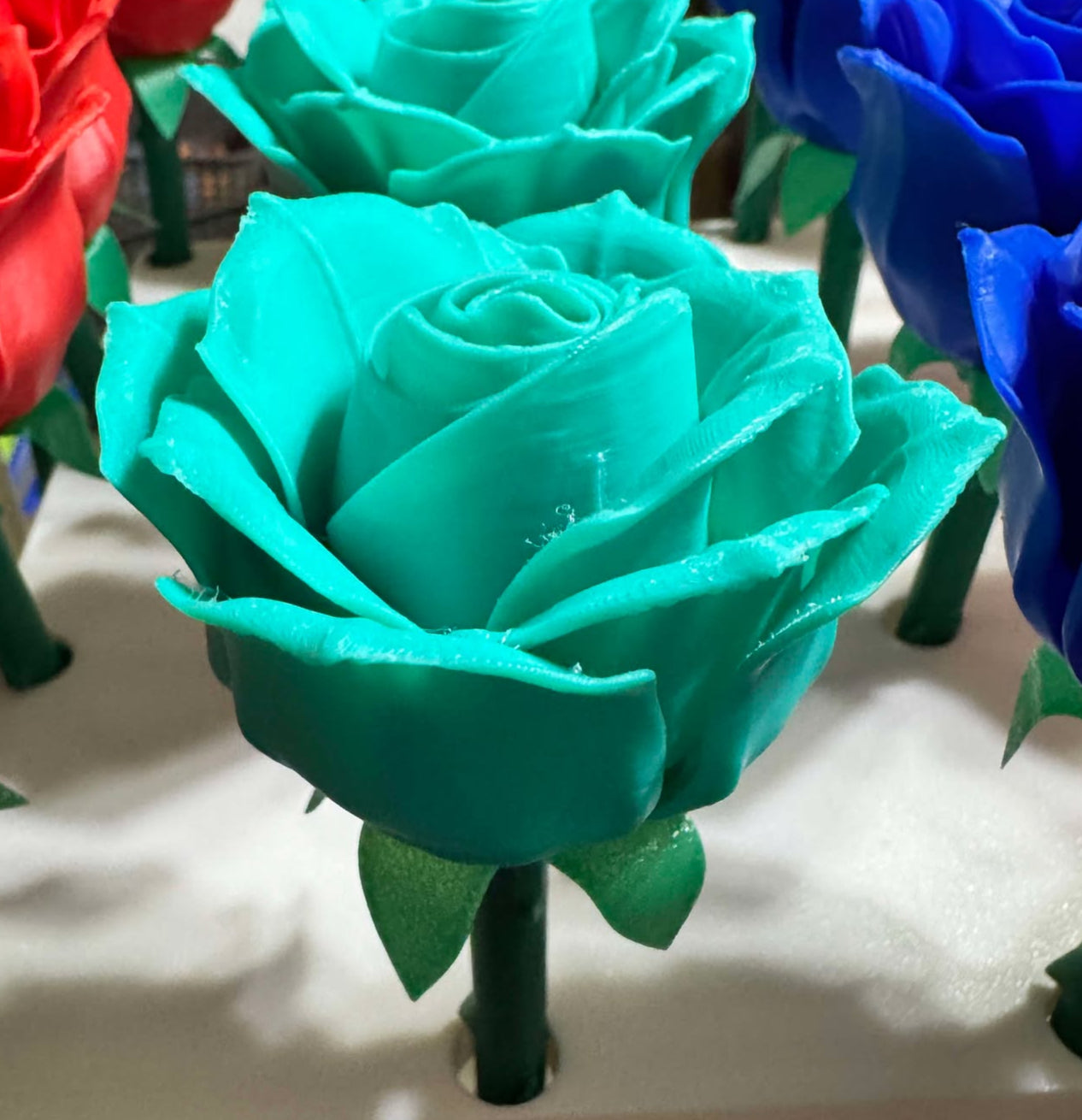 Roses - Full Size