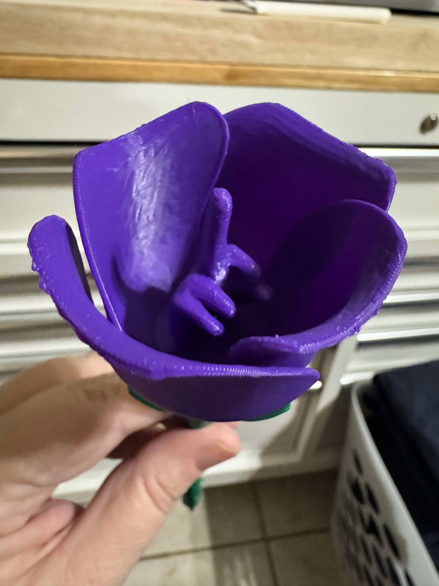 Middle Finger Roses
