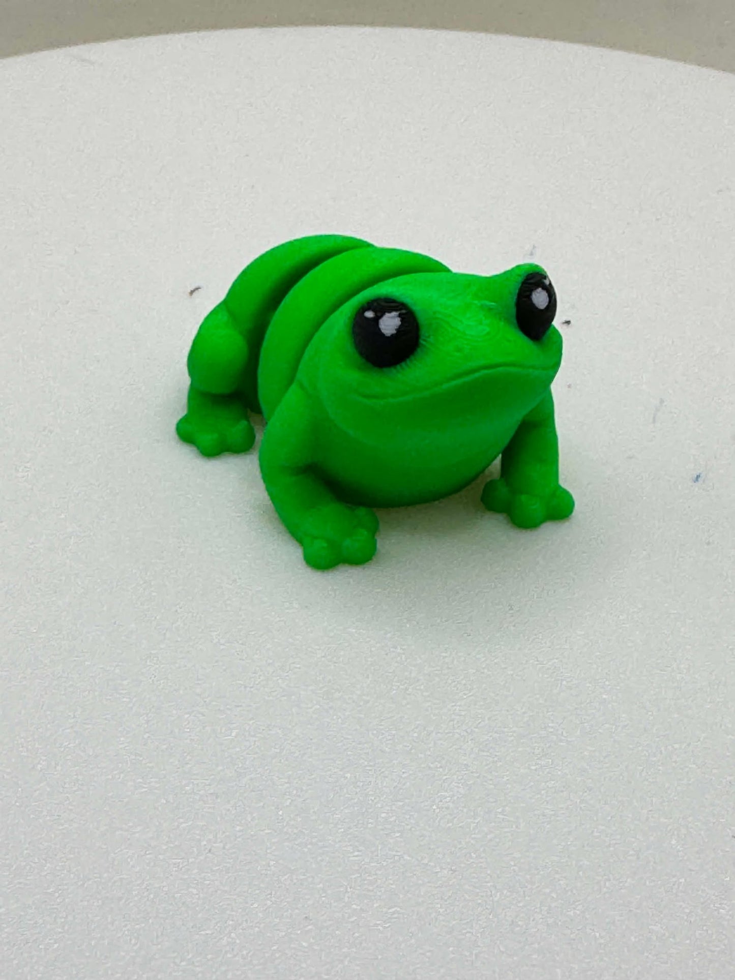 Frog Mini Pocket Pal
