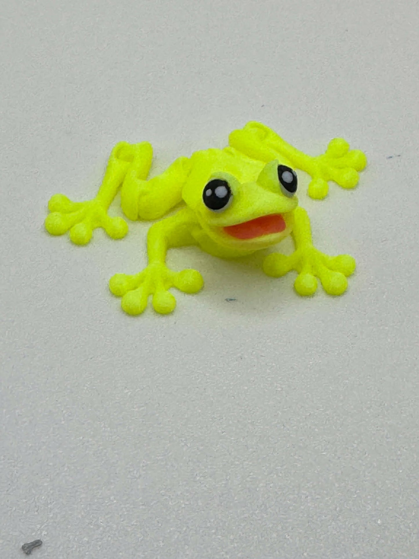 Tree Frog Mini Pocket Pal