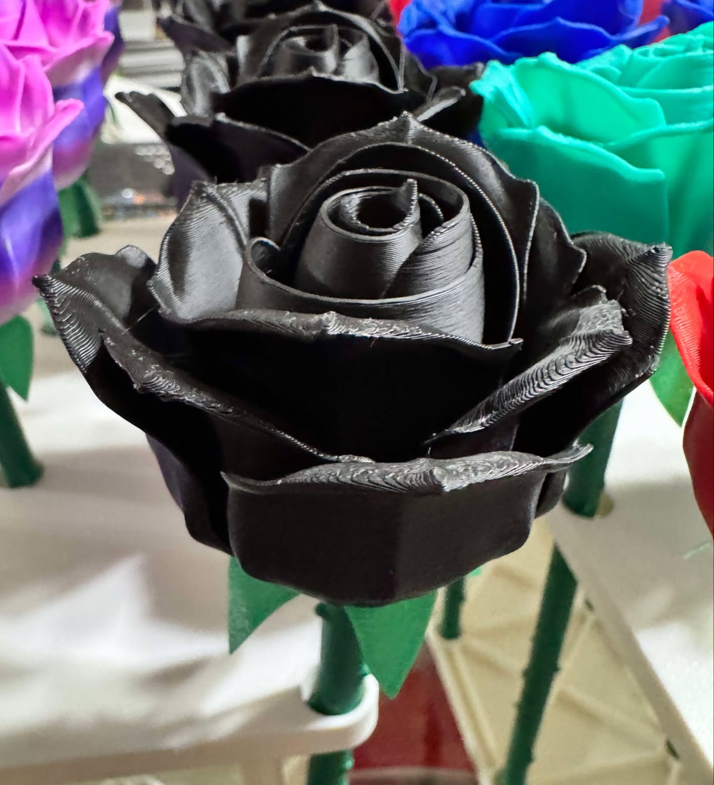 Roses - Full Size
