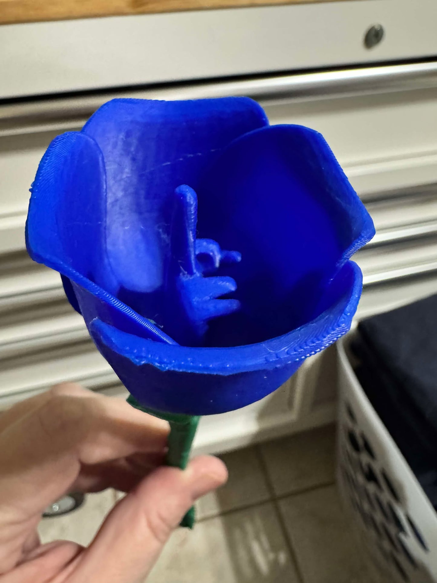 Middle Finger Roses