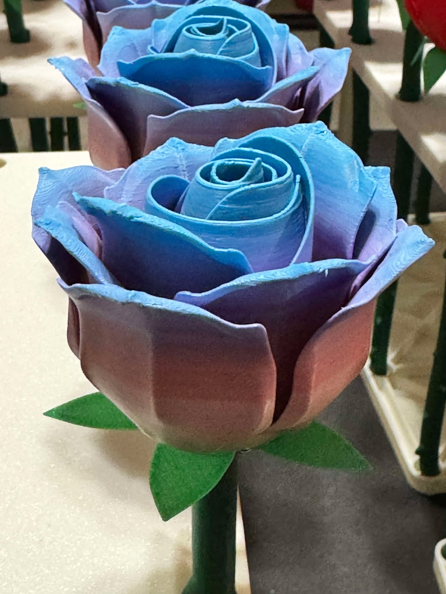 Roses - Full Size