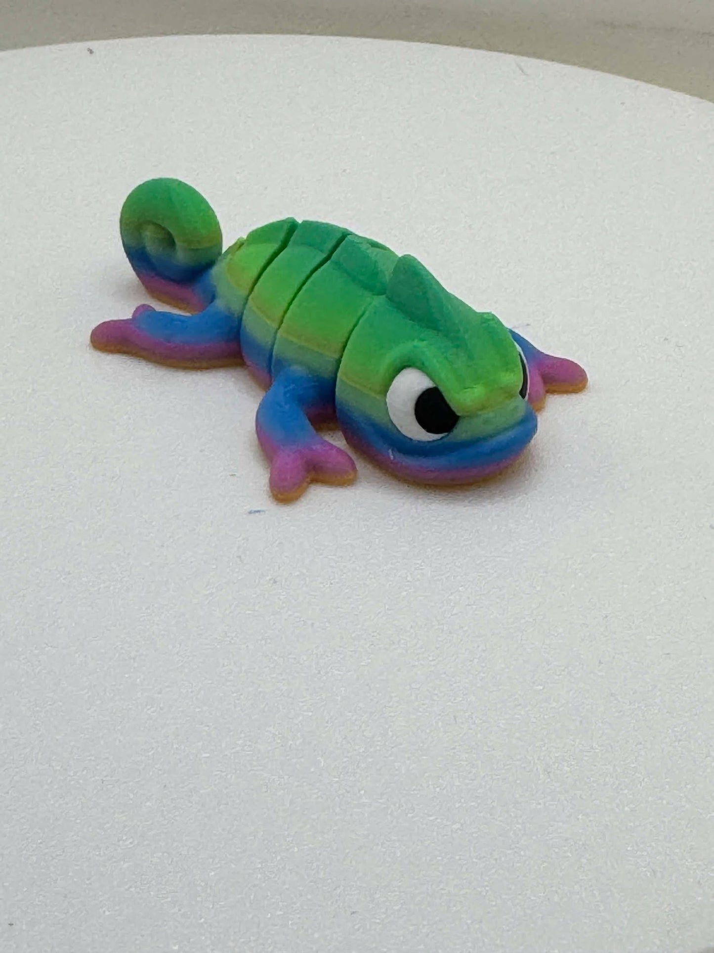 Chameleon Mini Pocket Pal