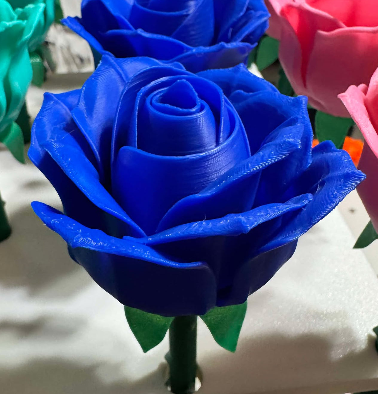 Roses - Full Size