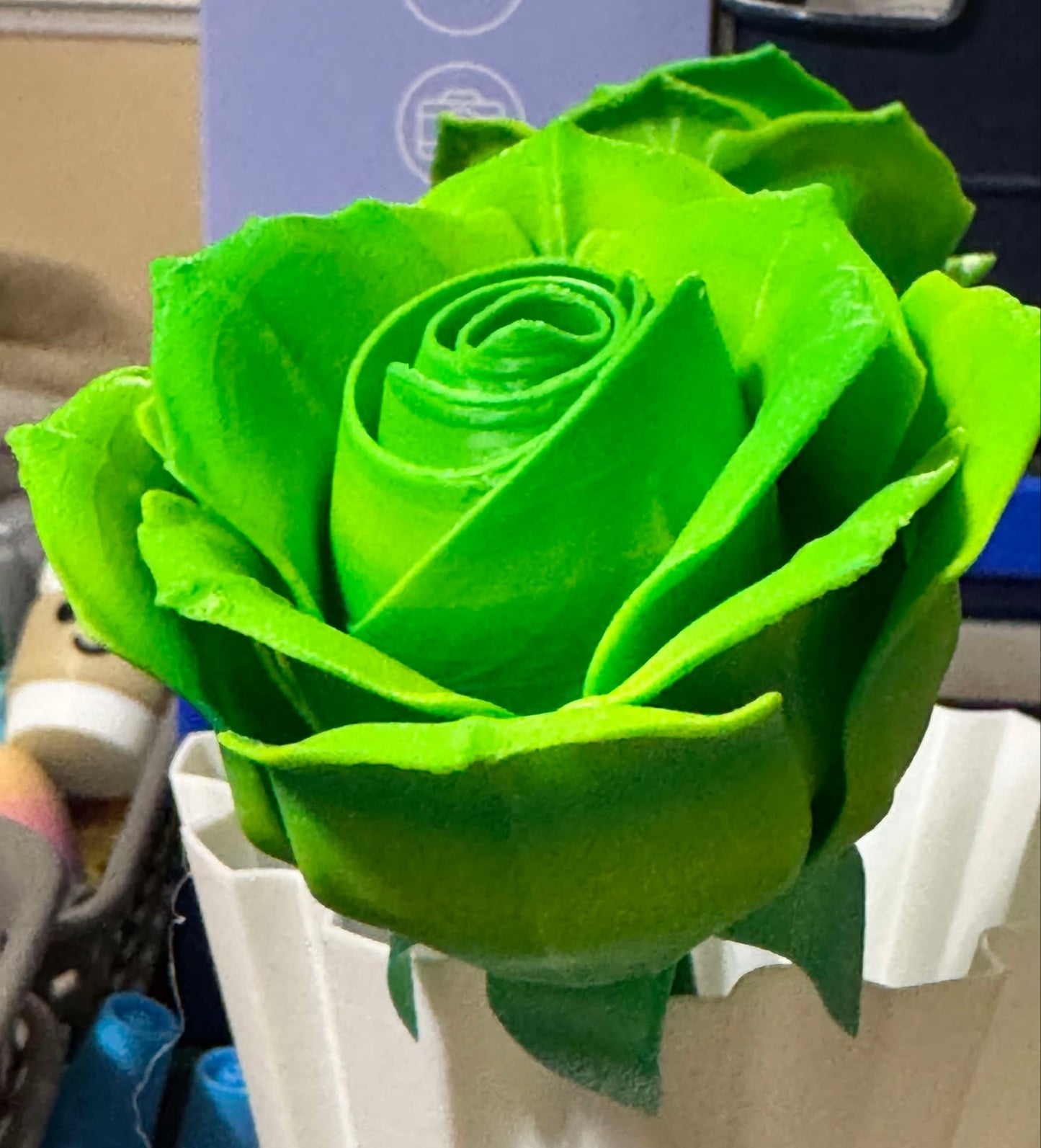 Roses - Full Size
