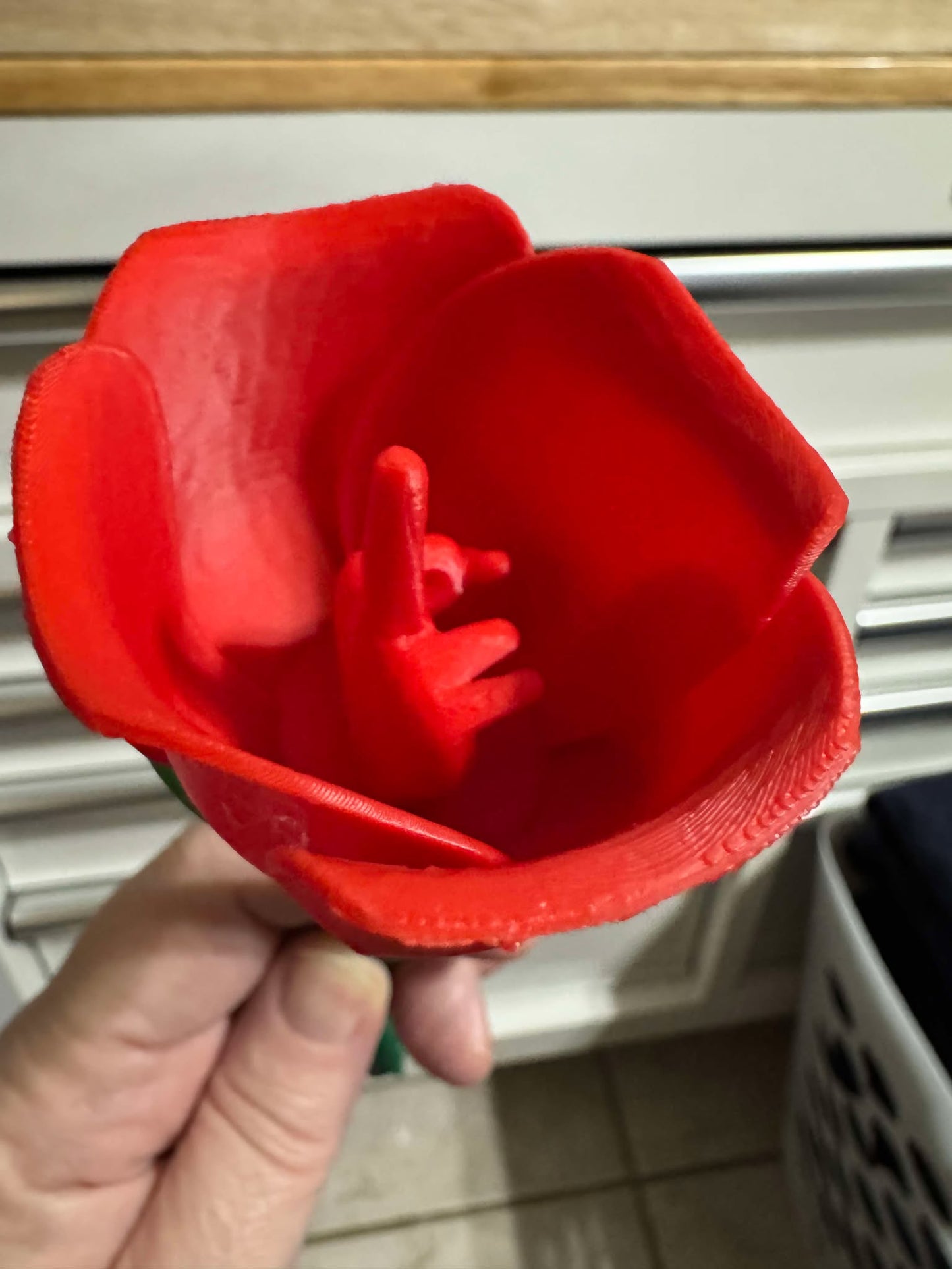 Middle Finger Roses