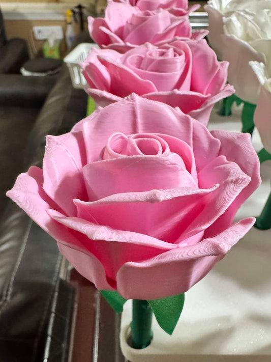 Roses - Full Size