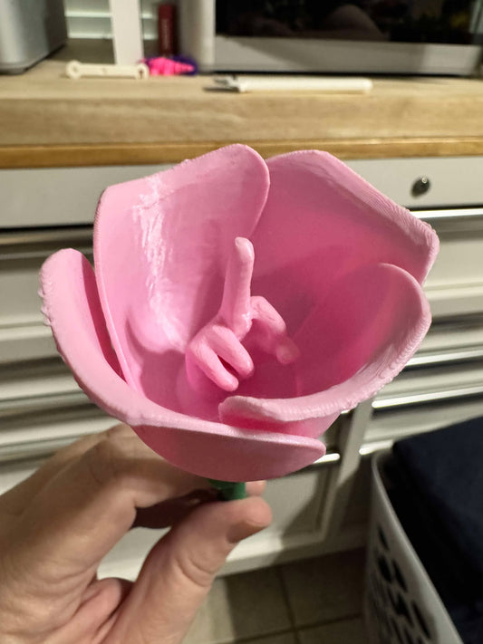 Middle Finger Roses