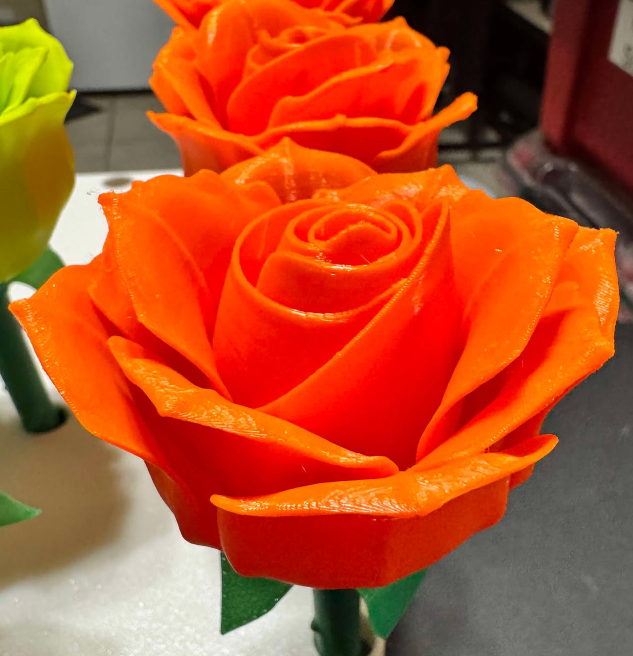 Roses - Full Size