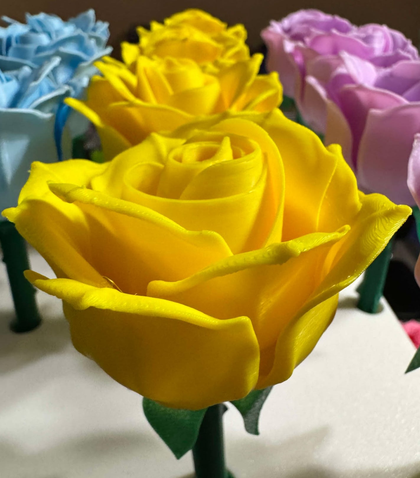 Roses - Full Size