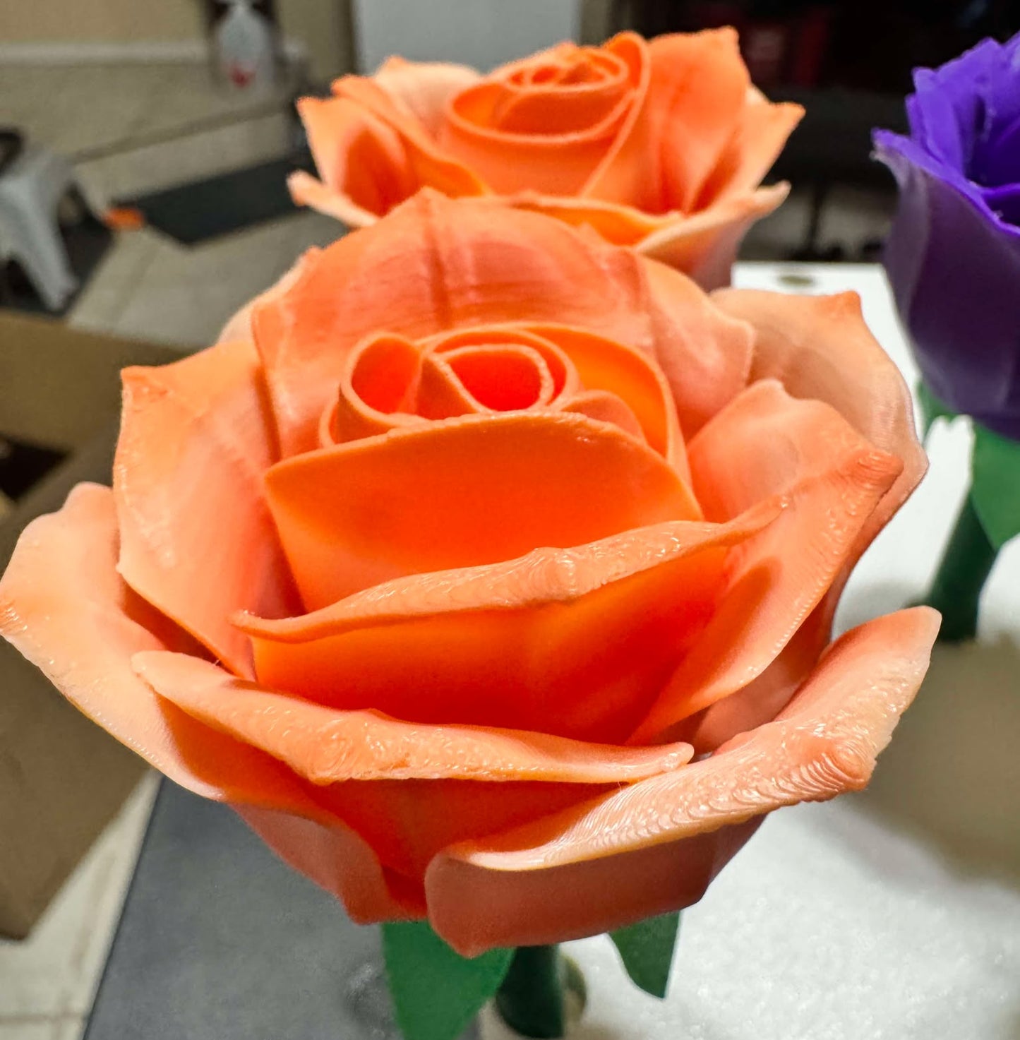Roses - Full Size