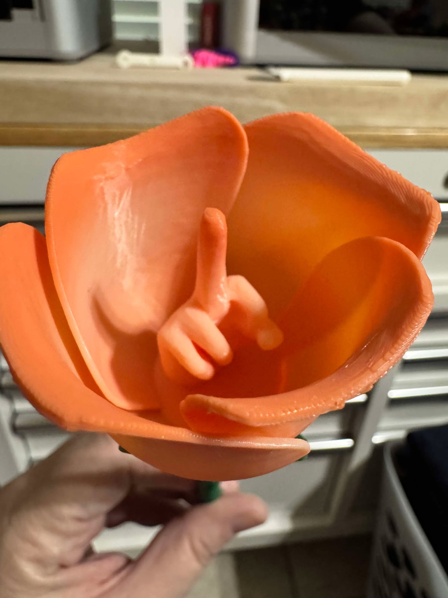Middle Finger Roses