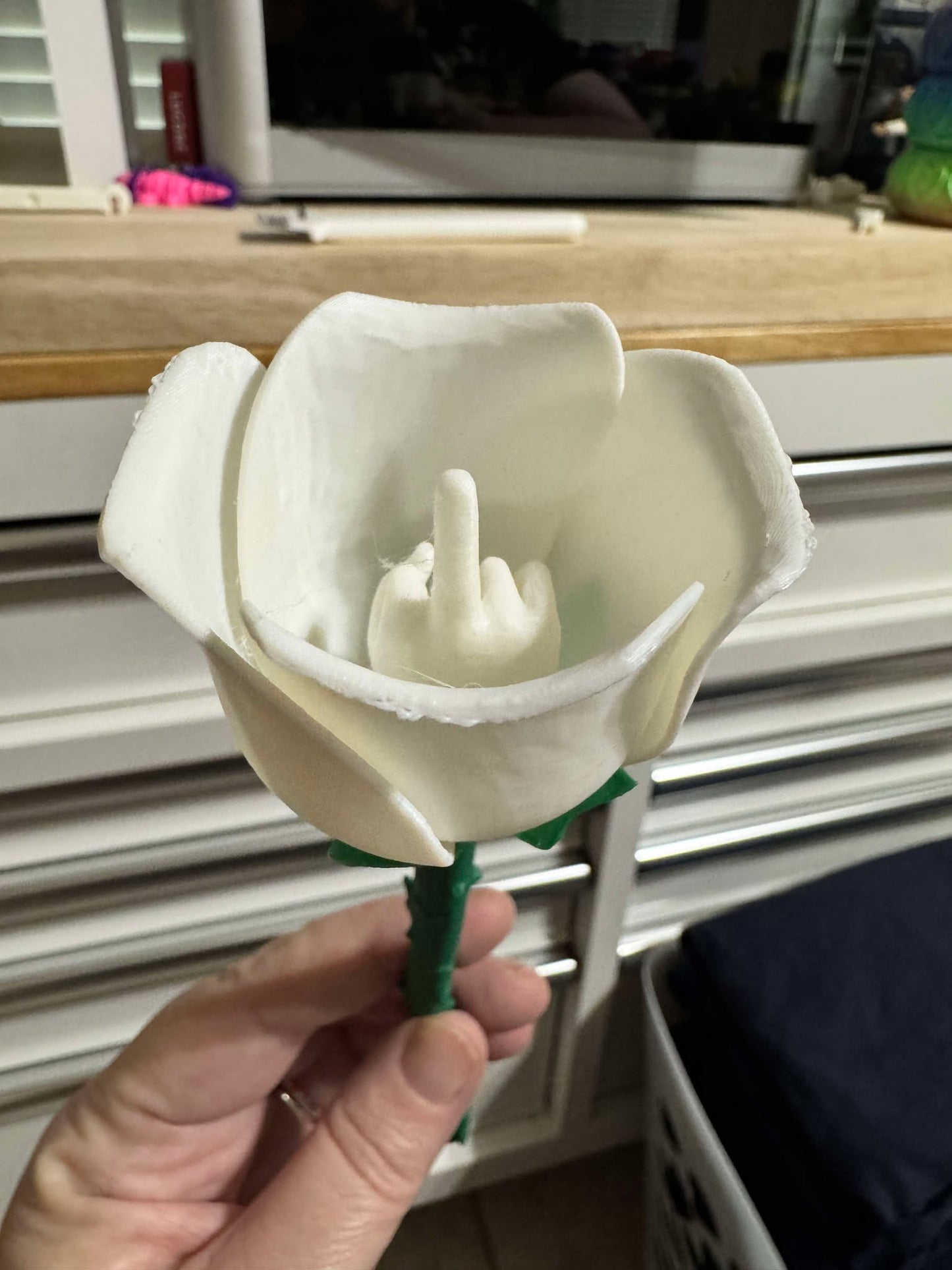 Middle Finger Roses