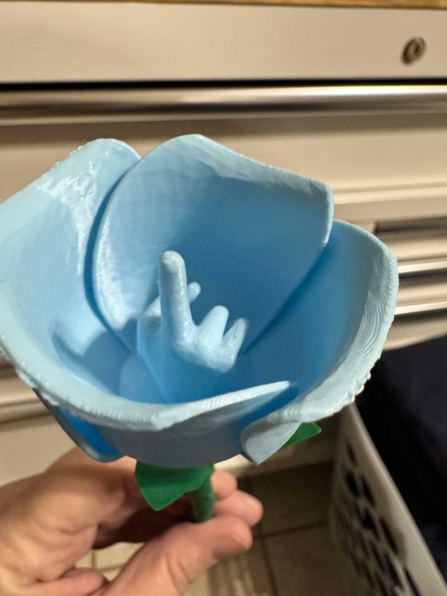 Middle Finger Roses