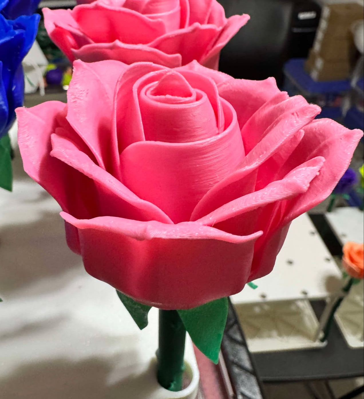 Roses - Full Size