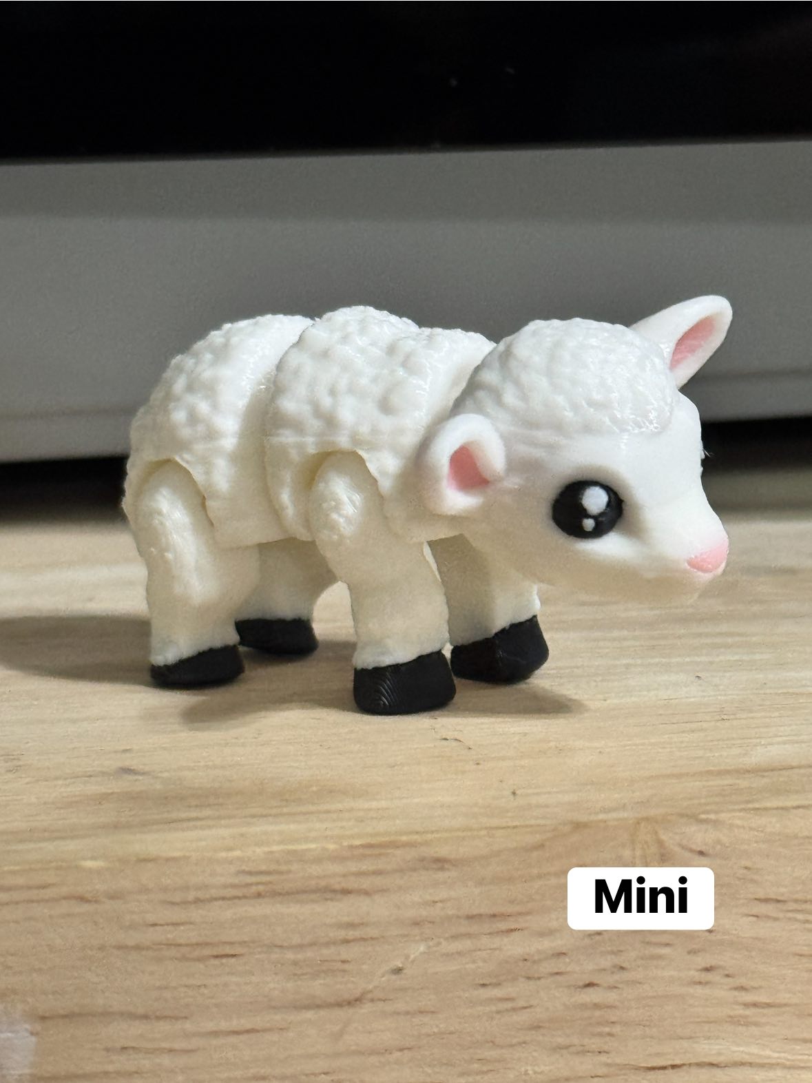 Pocket Pal Minis