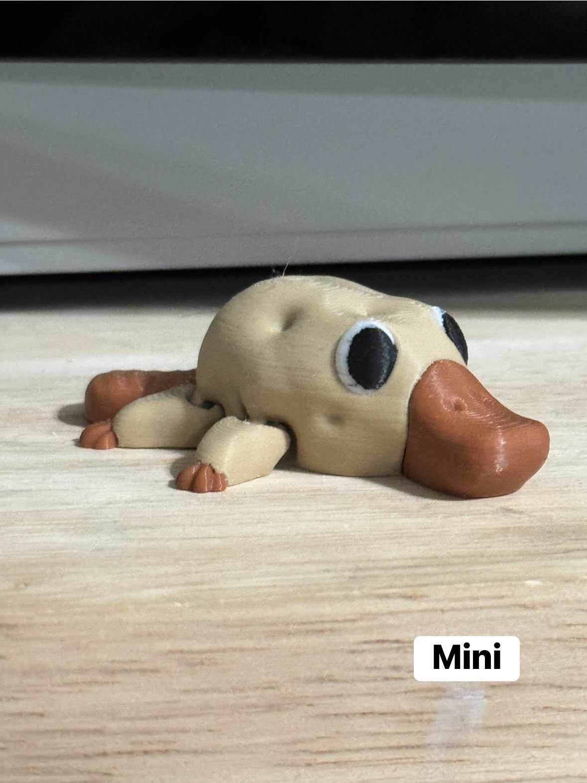 Pocket Pal Minis