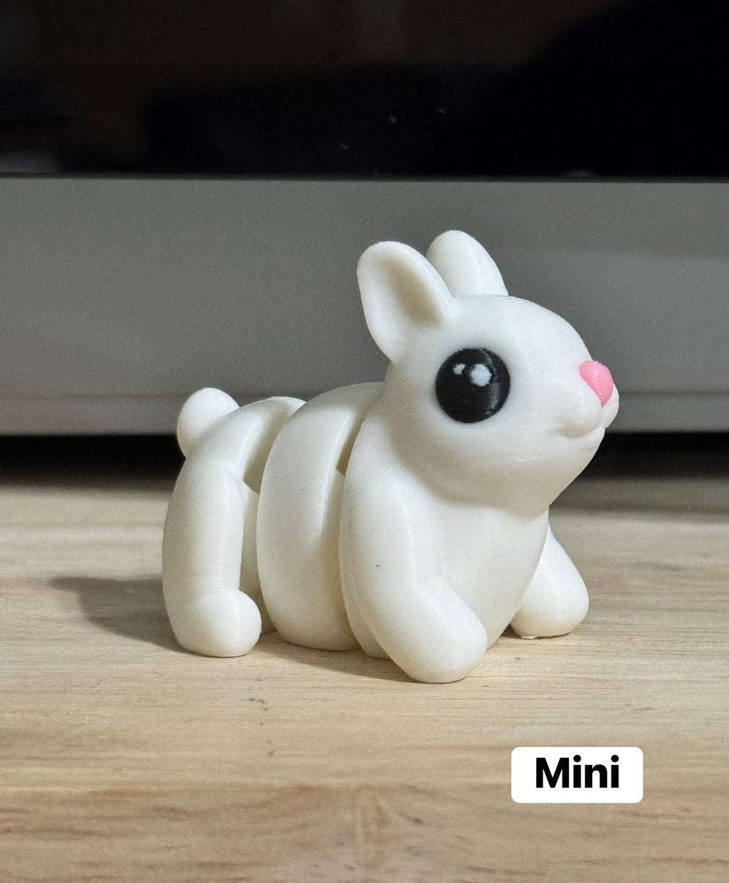Pocket Pal Minis