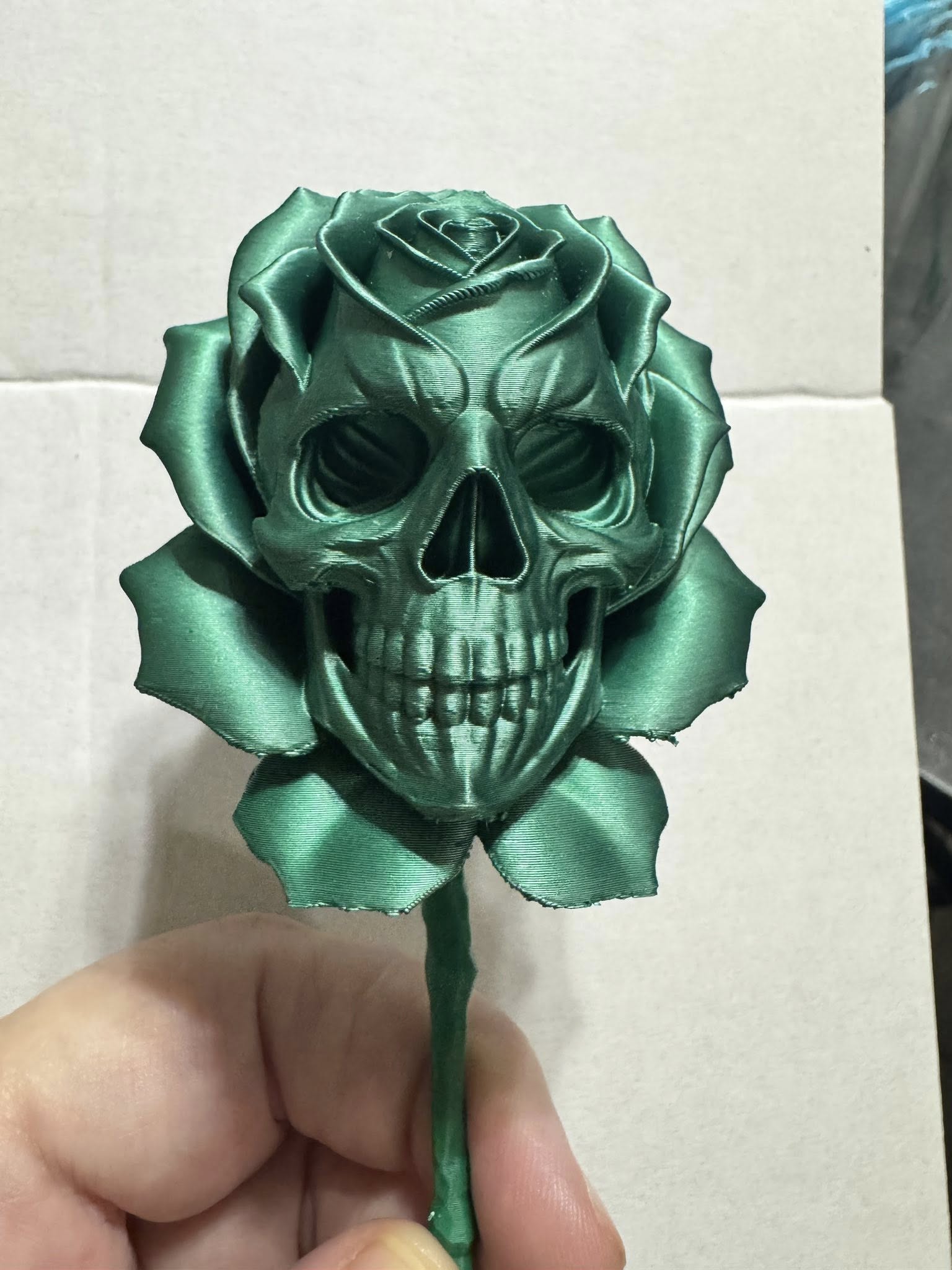 Skull Roses