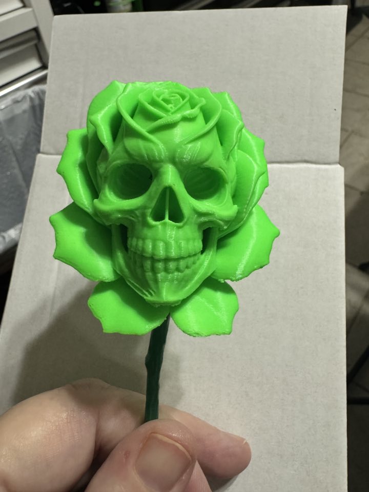 Skull Roses