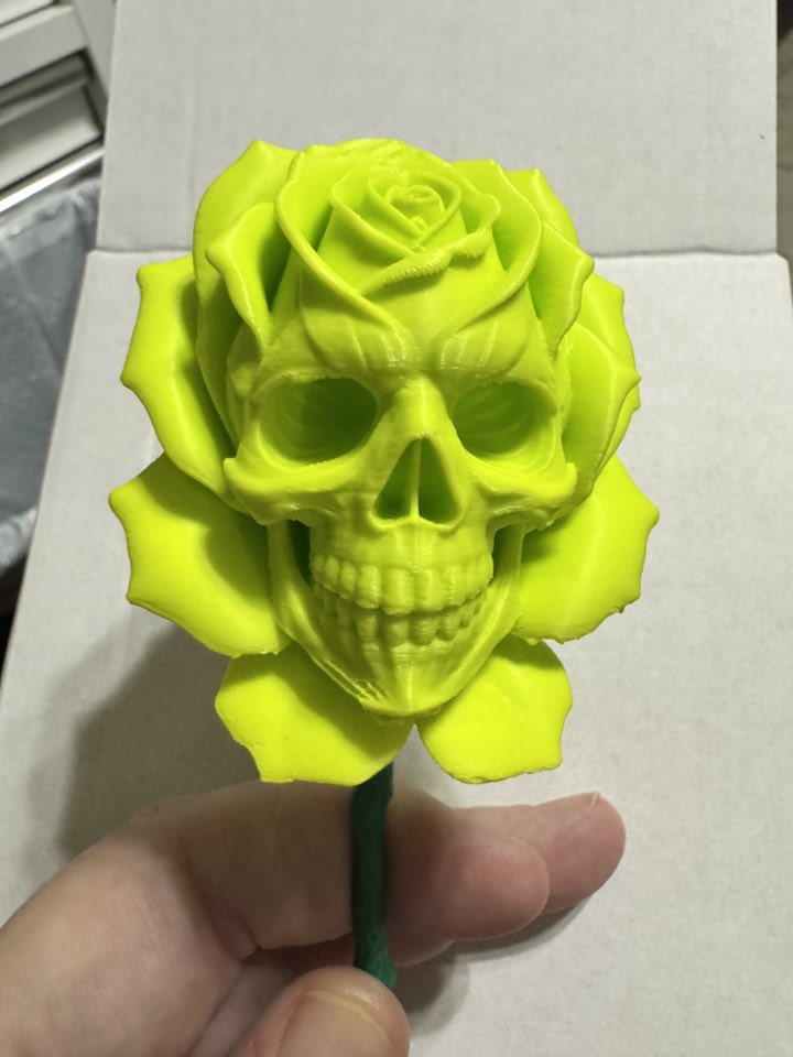 Skull Roses